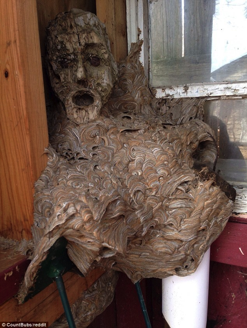 【恐ろしニュース】呪いの蜂の巣が、スズメバチ以上に怖い！