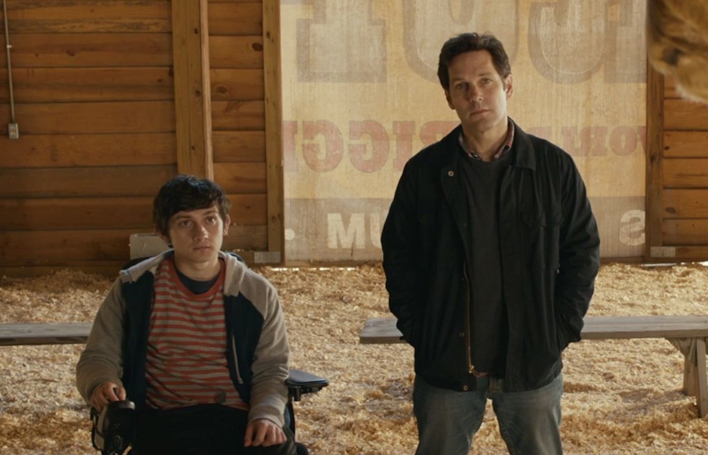 The Fundamentals of Caring Netflix Movie 2016